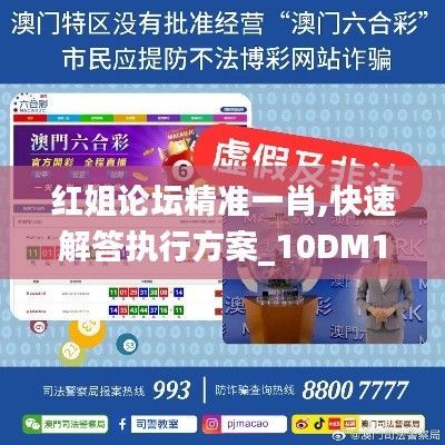 红姐论坛精准一肖,快速解答执行方案_10DM146.166-8