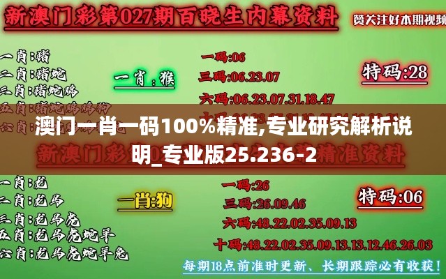 澳门一肖一码100%精准,专业研究解析说明_专业版25.236-2