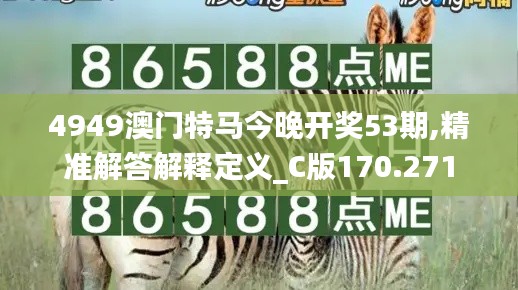 4949澳门特马今晚开奖53期,精准解答解释定义_C版170.271