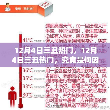 揭秘，引发争议的12月4日三丑热门背后的因素是什么？