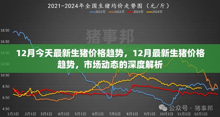 深度解析，最新市场动态下的12月生猪价格趋势解析