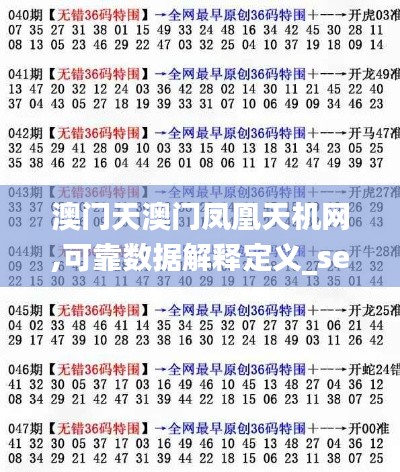 澳门天澳门凤凰天机网,可靠数据解释定义_set30.238