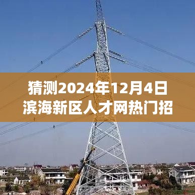 滨海新区人才网热门招聘预测，梦想与友情的交汇点（2024年12月4日）