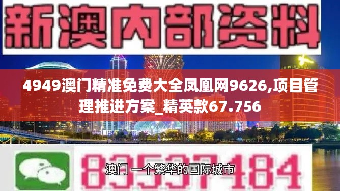 4949澳门精准免费大全凤凰网9626,项目管理推进方案_精英款67.756