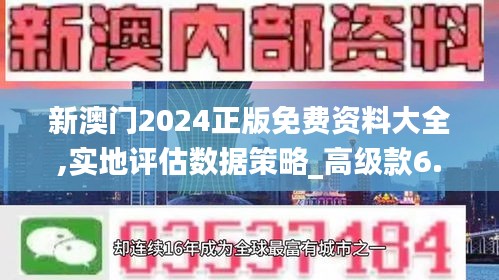 新澳门2024正版免费资料大全,实地评估数据策略_高级款6.533