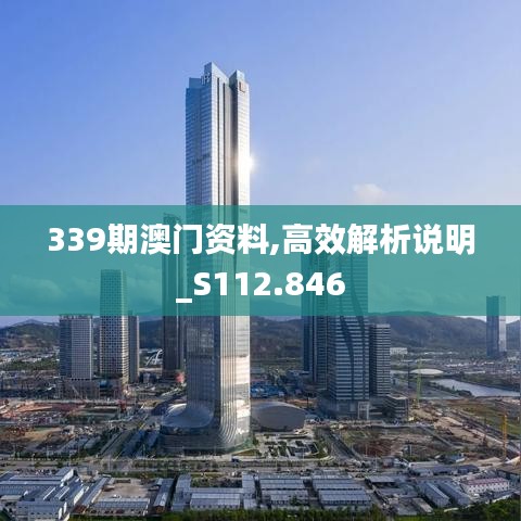 339期澳门资料,高效解析说明_S112.846