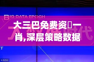 大三巴免费资枓一肖,深层策略数据执行_进阶款10.720