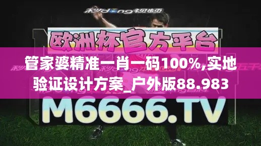 管家婆精准一肖一码100%,实地验证设计方案_户外版88.983