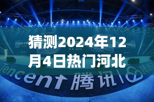 把握未来，预见辉煌，2024年河北省副省长分工展望与自我超越之路揭秘