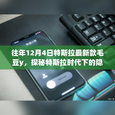 探秘特斯拉时代下的隐秘角落，毛豆Y特色小店揭秘