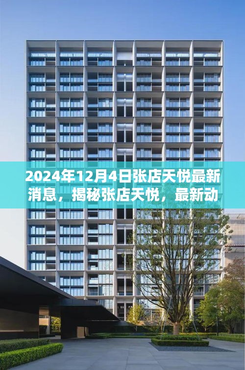 揭秘张店天悦，最新动态与独家报道（2024年12月4日更新）