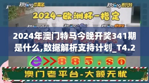 2024年澳门特马今晚开奖341期是什么,数据解析支持计划_T4.237