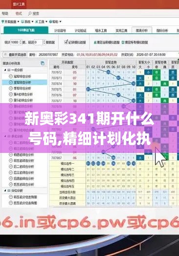 新奥彩341期开什么号码,精细计划化执行_BT18.214