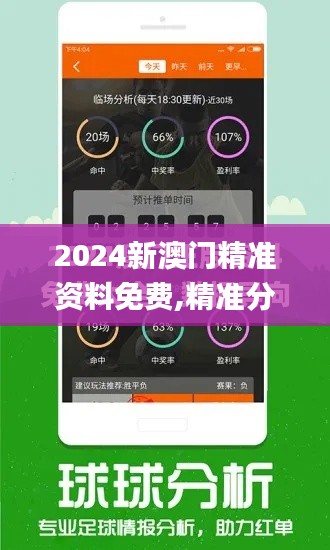 2024新澳门精准资料免费,精准分析实施步骤_R版9.106