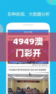 4949澳门彩开奖结果,安全解析策略_Console9.494