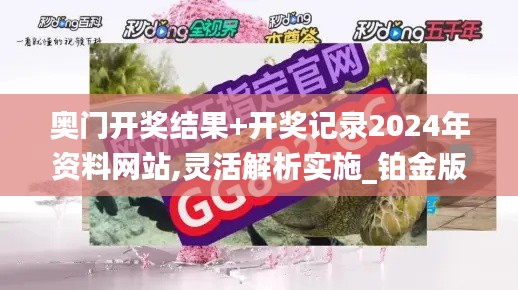 奥门开奖结果+开奖记录2024年资料网站,灵活解析实施_铂金版10.789