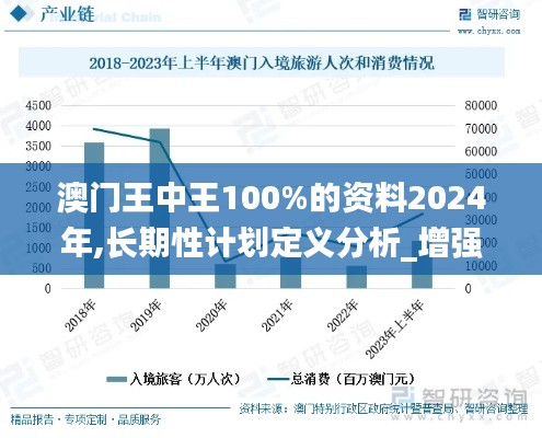 澳门王中王100%的资料2024年,长期性计划定义分析_增强版1.443