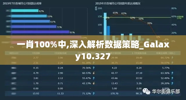 一肖100%中,深入解析数据策略_Galaxy10.327