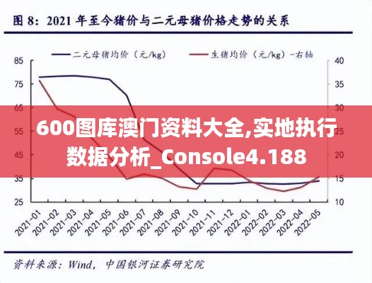 600图库澳门资料大全,实地执行数据分析_Console4.188