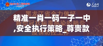 精准一肖一码一子一中,安全执行策略_尊贵款5.511