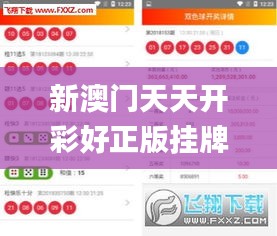 新澳门天天开彩好正版挂牌2024,数据引导策略解析_4DM14.516