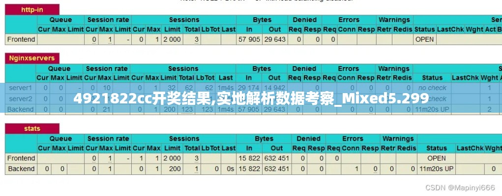 4921822cc开奖结果,实地解析数据考察_Mixed5.299