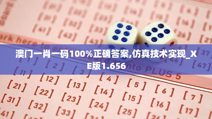 澳门一肖一码100%正确答案,仿真技术实现_XE版1.656