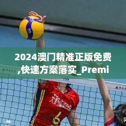 2024澳门精准正版免费,快速方案落实_Premium6.416