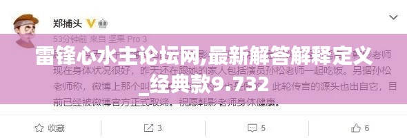 雷锋心水主论坛网,最新解答解释定义_经典款9.732