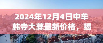 揭秘，中牟韩寺大蒜市场行情及最新价格走势（2024年12月4日）