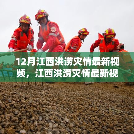 江西洪涝灾情下的挑战与应对，最新视频引发的思考