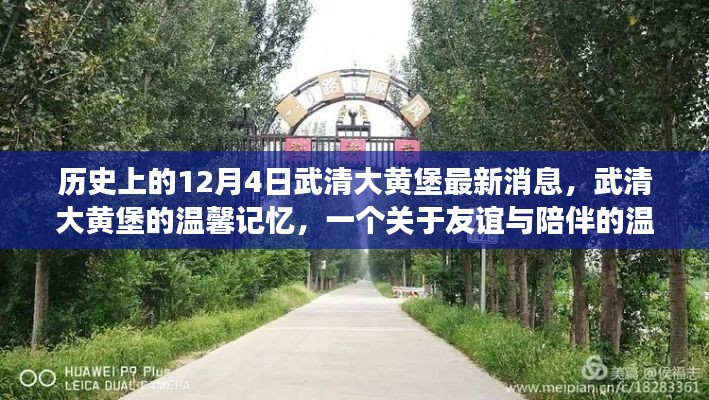 武清大黄堡的友谊与陪伴，历史最新消息与温馨记忆回顾