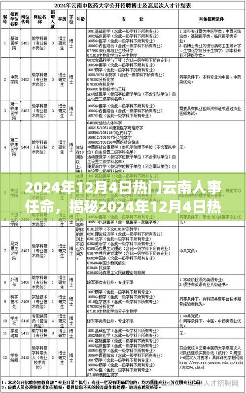 揭秘，2024年12月4日云南人事任命背后的故事与热议话题