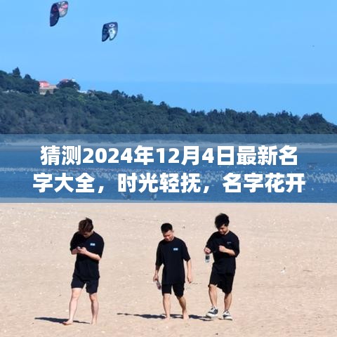 时光轻抚下的温馨命名之旅，最新名字大全揭晓，2024年12月4日的命名之旅开启