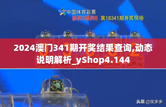 2024澳门341期开奖结果查询,动态说明解析_yShop4.144