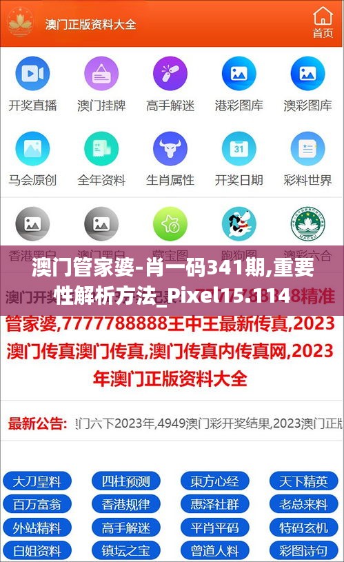 澳门管家婆-肖一码341期,重要性解析方法_Pixel15.114