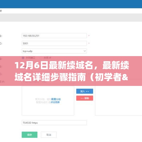 最新续域名详细步骤指南，适合初学者与进阶用户的12月6日操作指南