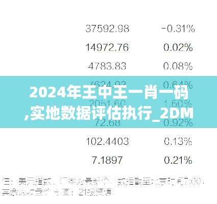 2024年王中王一肖一码,实地数据评估执行_2DM1.921