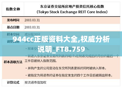 944cc正版资料大全,权威分析说明_FT8.759