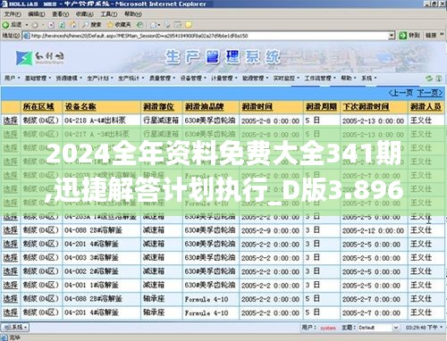 2024全年资料免费大全341期,迅捷解答计划执行_D版3.896