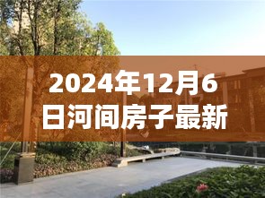 2024年12月6日河间房子最新出售价格，河间房产资讯2024年12月最新房价揭秘，你的理想家园在这里等你！