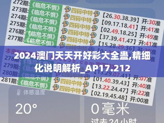 2024澳门天天开好彩大全蛊,精细化说明解析_AP17.212