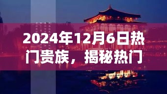 揭秘热门贵族，2024年必探小巷深处的独特风味小店