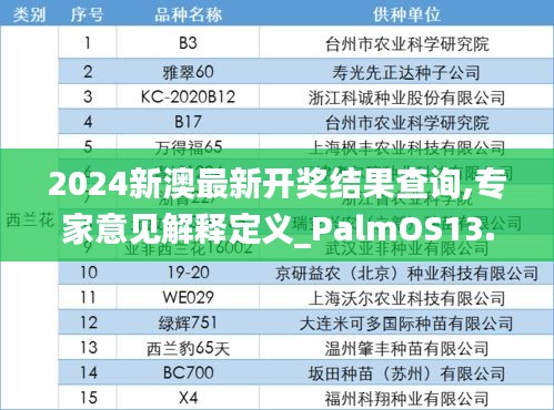 2024新澳最新开奖结果查询,专家意见解释定义_PalmOS13.413