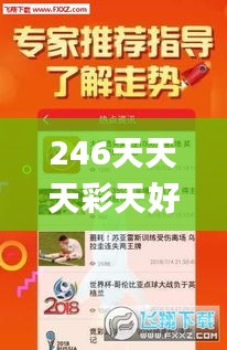 246天天天彩天好彩资料大全118,详述解答解释落实_微型版5.949