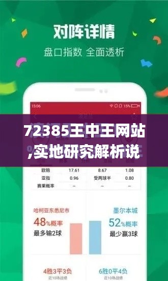 72385王中王网站,实地研究解析说明_MT9.979