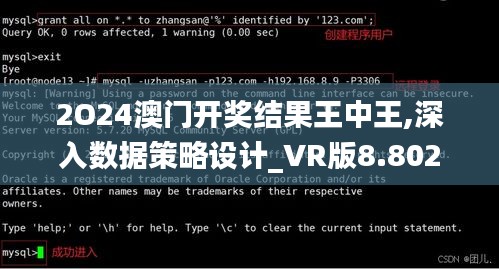 2O24澳门开奖结果王中王,深入数据策略设计_VR版8.802