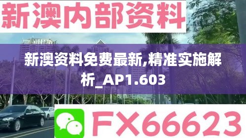 新澳资料免费最新,精准实施解析_AP1.603