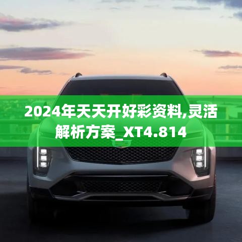 2024年天天开好彩资料,灵活解析方案_XT4.814