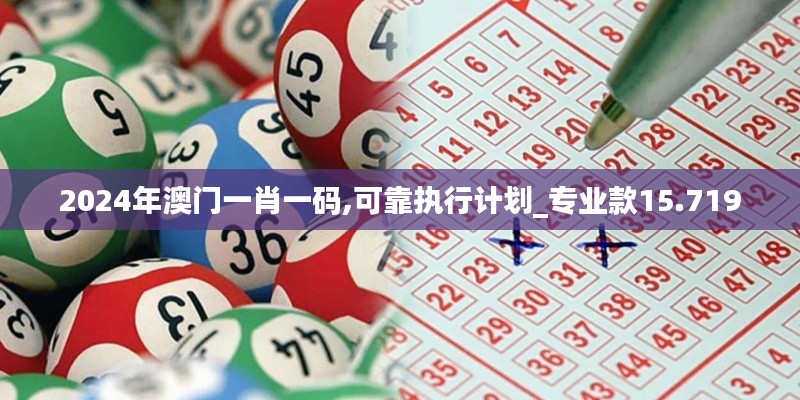 2024年澳门一肖一码,可靠执行计划_专业款15.719